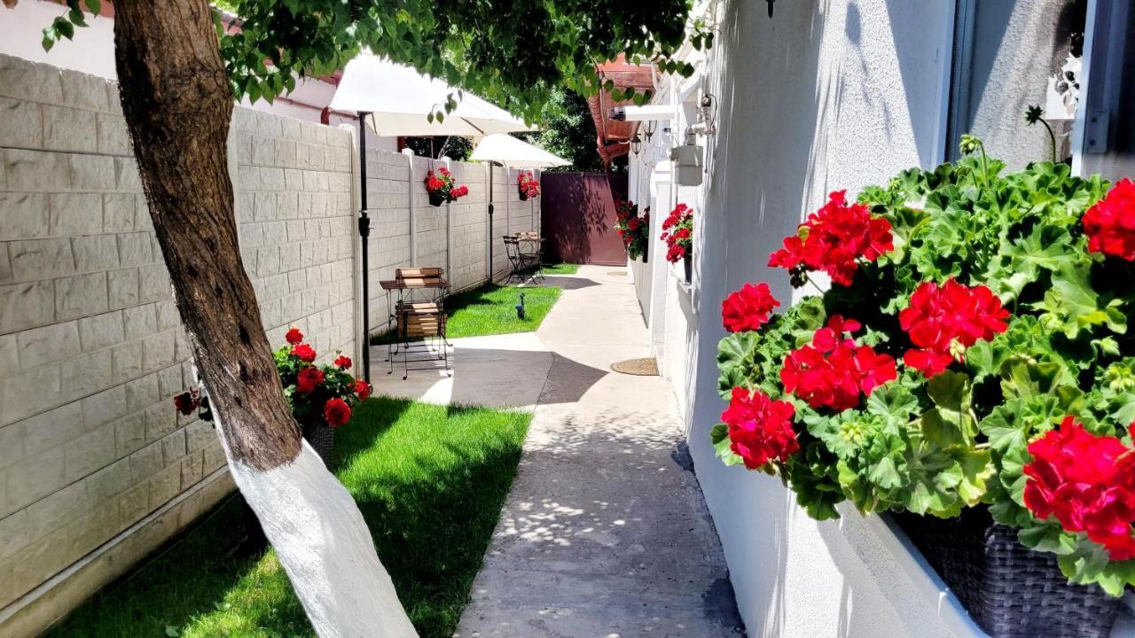부쿠레슈티 Rose Garden House 아파트 외부 사진