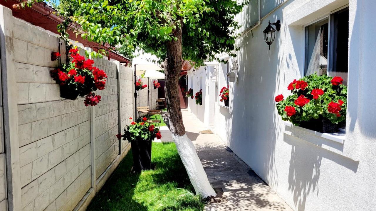 부쿠레슈티 Rose Garden House 아파트 외부 사진